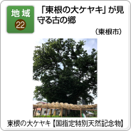 地域（22）「東根の大ケヤキ」が見守る古の郷