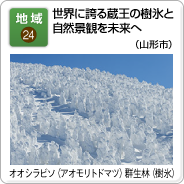 地域（24）世界に誇る蔵王の樹氷と自然景観を未来へ